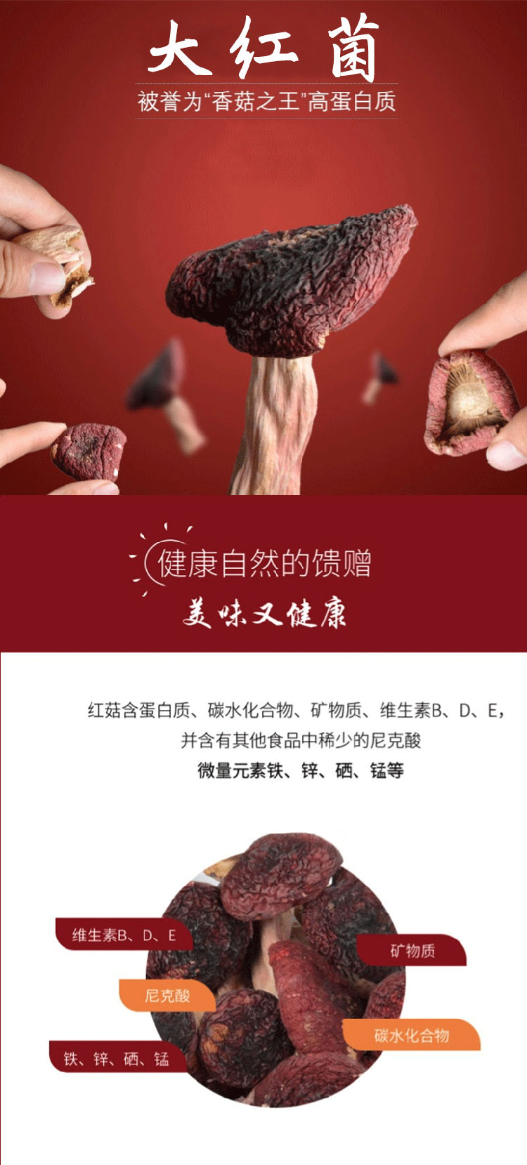 6-大红菇_06