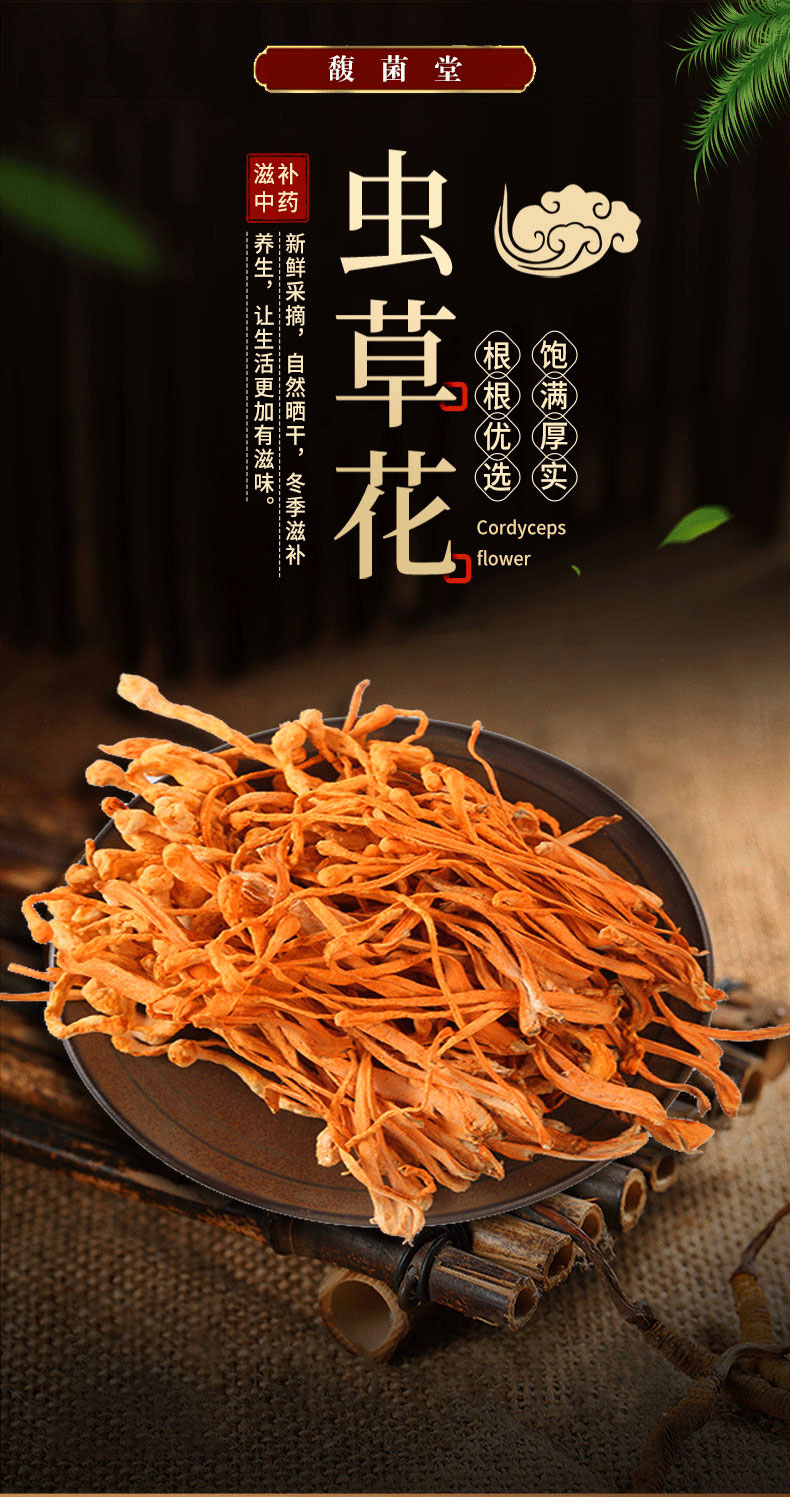 4-虫草花_04