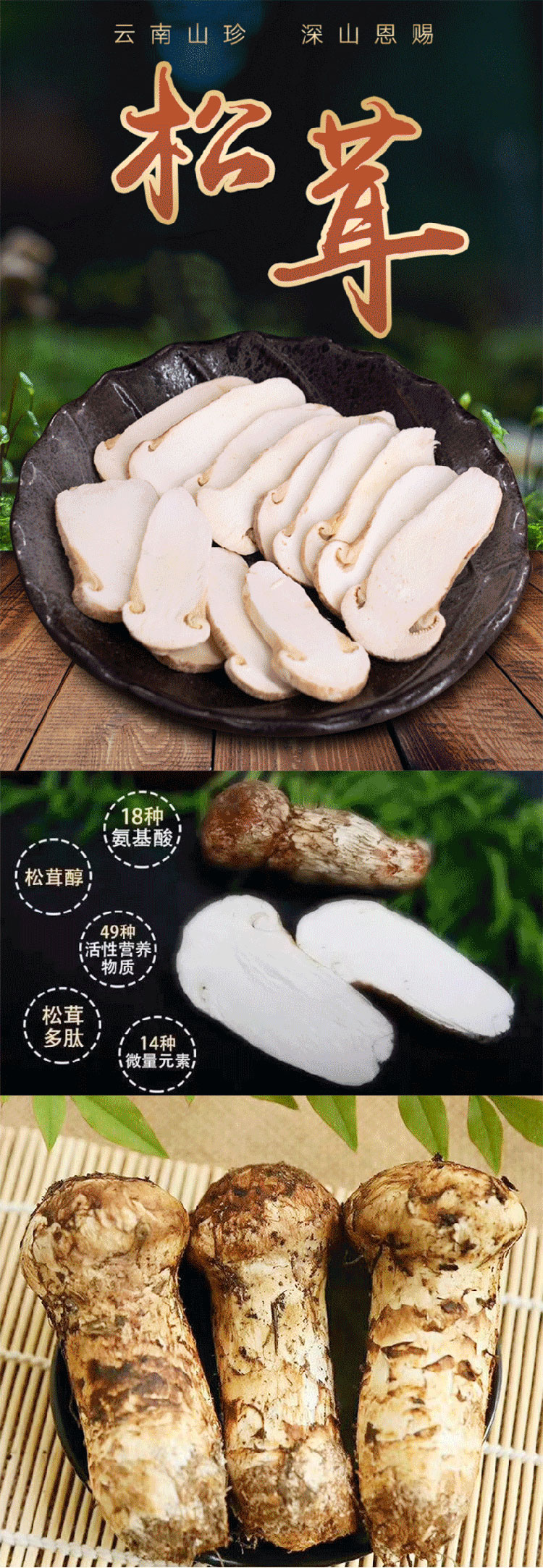 2-松茸_02